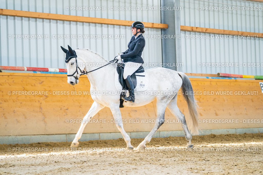 DSC07841 | Pferdegrafie