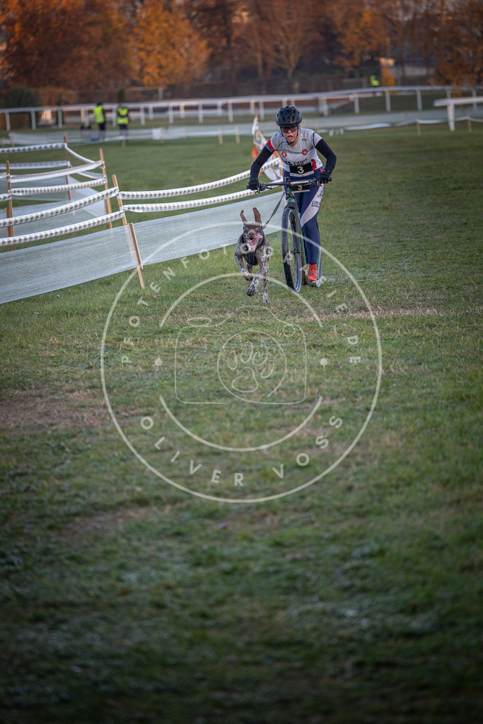 CaniXpix_0L8A0987 | Hundefotografie, Tierfotograf, Pfotenfotografie, Fotoshooting Hund, Hunde Portrait, Hundesport, Hundeportraits, Heideshooting, Hunde, Sportfotograf, Hundefotograf, Turnierhundsport, THS,  - Realisiert mit Pictrs.com