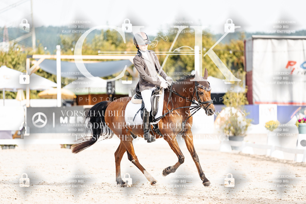 CK904076 | Turnierfotografie Pferdefotografie Trier Rheinland-Pfalz Pferdesport Reitsport Tierfotografie Sportfotografie Pferdevideo Pferdevideografie Equestrianvideography equestrianphotography  - Realisiert mit Pictrs.com