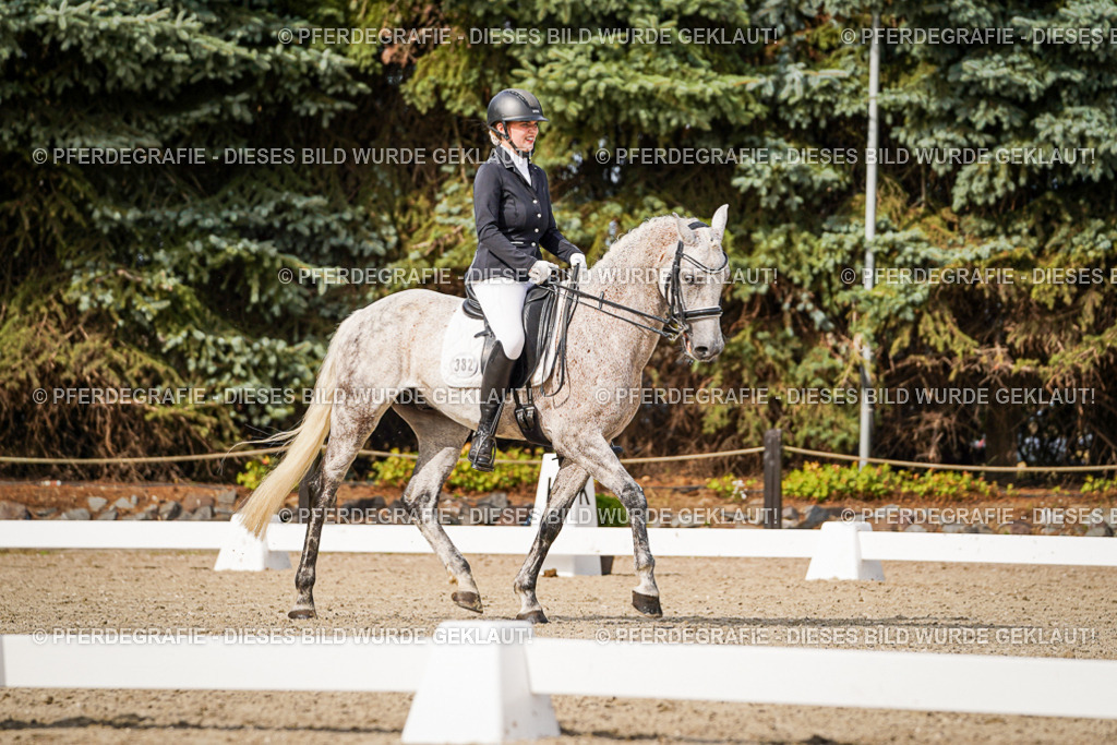 DSC07037 | Pferdegrafie