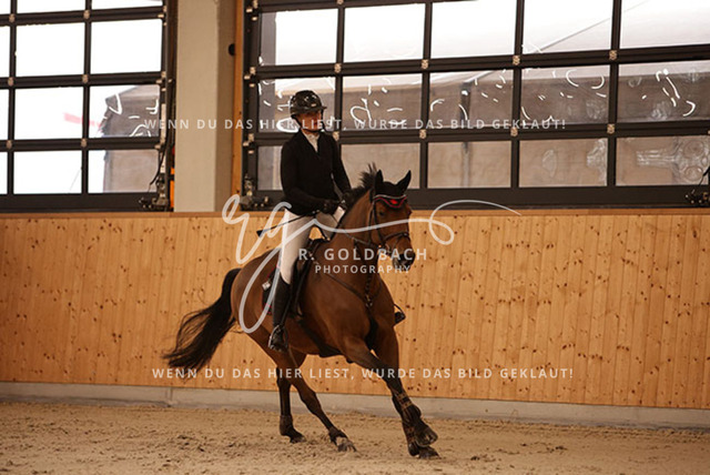 1J2A3359Jasmin Selke-John_ Catharina 16_ Kn094_ Hohen Wieschendorf_ Glantz | Foto- und Videografie für alles rund ums Pferd. Hochwertige Bilder und Videos vom Spring- und Dressurreiten, Voltigieren & mehr. Jetzt aktuelle Veranstaltungen und Preise im Shop ansehen. - Realisiert mit Pictrs.com