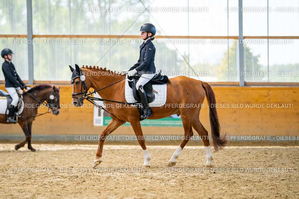 DSC01361 | Pferdegrafie