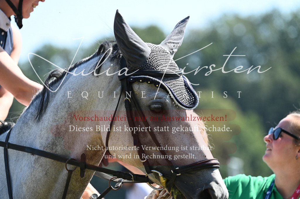 DSC_6485 | Pferde- und Turnierfotografie in Westsachsen. Pferdeportraits, Auftragszeichnungen und intuitive Kunst.