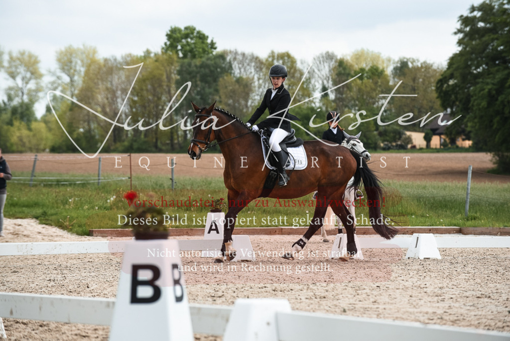 20230518_JK-Röhrsdorf-10-181 | Pferde- und Turnierfotografie in Westsachsen. Pferdeportraits, Auftragszeichnungen und intuitive Kunst.