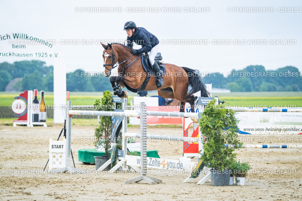 DSC00776 | Pferdegrafie