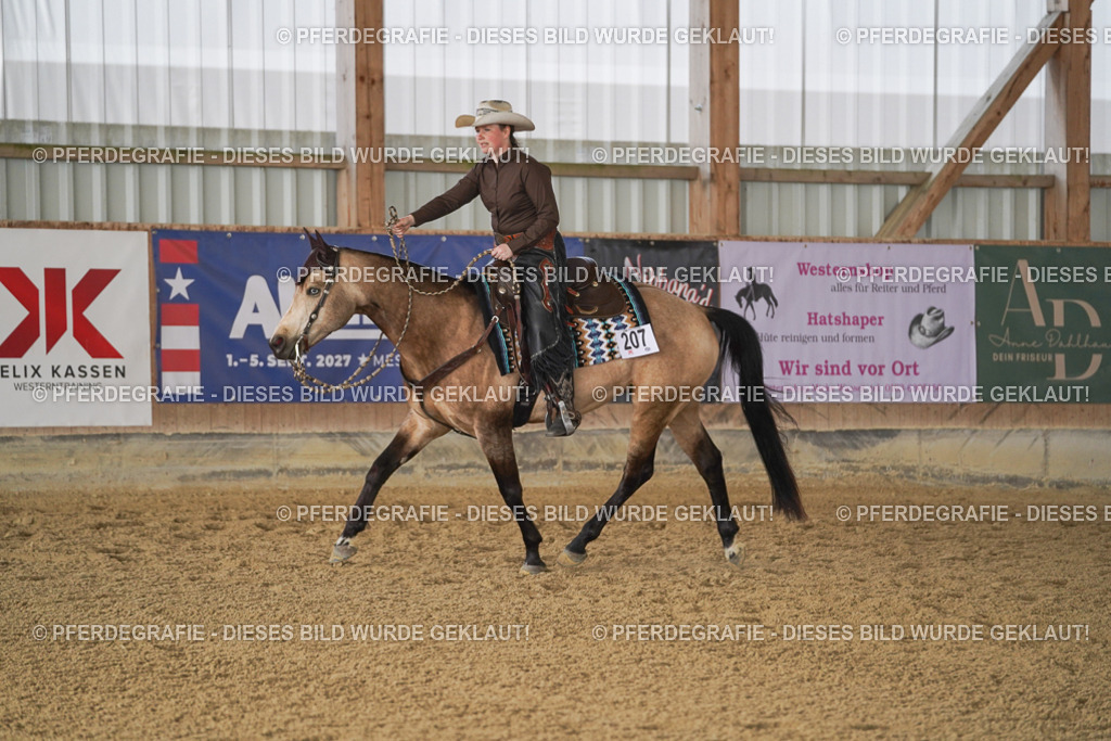 DSC00223 | Pferdegrafie