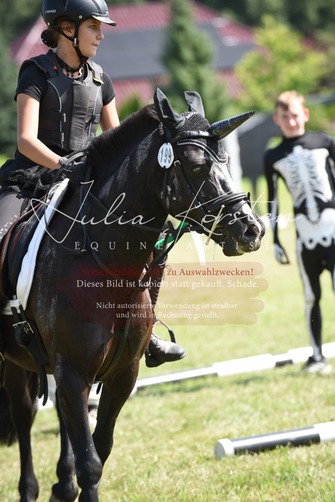 DSC_0483 | Pferde- und Turnierfotografie in Westsachsen. Pferdeportraits, Auftragszeichnungen und intuitive Kunst.