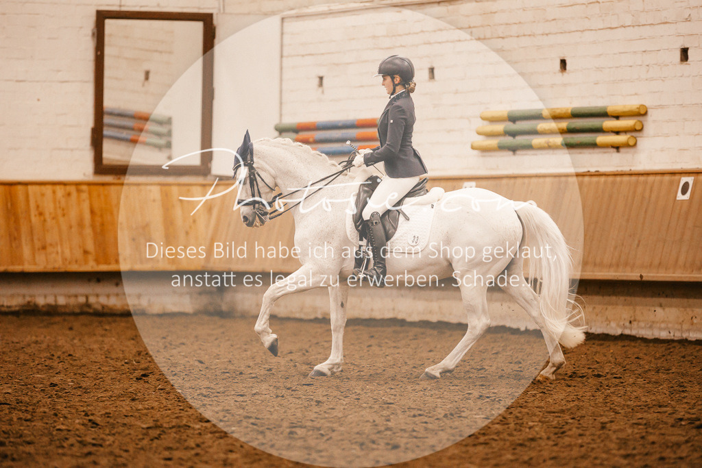 3I6A2580 | Stimmungsvolle Portraits und Reitsportfotografie im Ruhrgebiet und im Münsterland.

Pferdefotografie, Hundefotografie, Tierfotografie, Reportagen, Portraits von Tier und Mensch, Turnierfotografie in Bochum, Recklinghausen, Marl, Haltern am See, Dülmen.. - Realisiert mit Pictrs.com