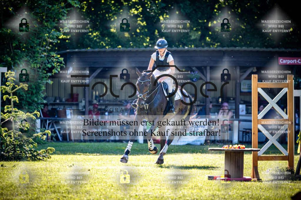 2026-05 - Melle Oldendorf-3-0122 | Entdecke hochwertige Reitturnierfotos von Foto Oger. Professionell, emotional und authentisch – jetzt Lieblingsmomente im Shop bestellen.Deutschlandweite Turnierfotografie. - Realisiert mit Pictrs.com