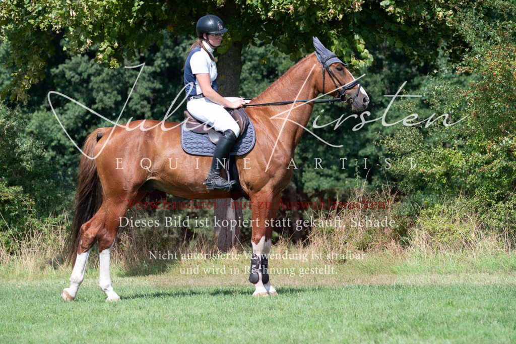 DSC_0777 | Pferde- und Turnierfotografie in Westsachsen. Pferdeportraits, Auftragszeichnungen und intuitive Kunst.