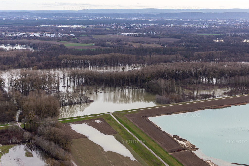 Luftbild: Überflutete Flutungswiesen des Polder Neupotz am Hochwasser- Pegel führenden Flußbett des Rhein in Neupotz im Bundesland Rheinland-Pfalz in Deutschland. Foto: IMG_124227.jpg vom 04.02.2021 durch Werner Riehm/FLY-FOTO.de