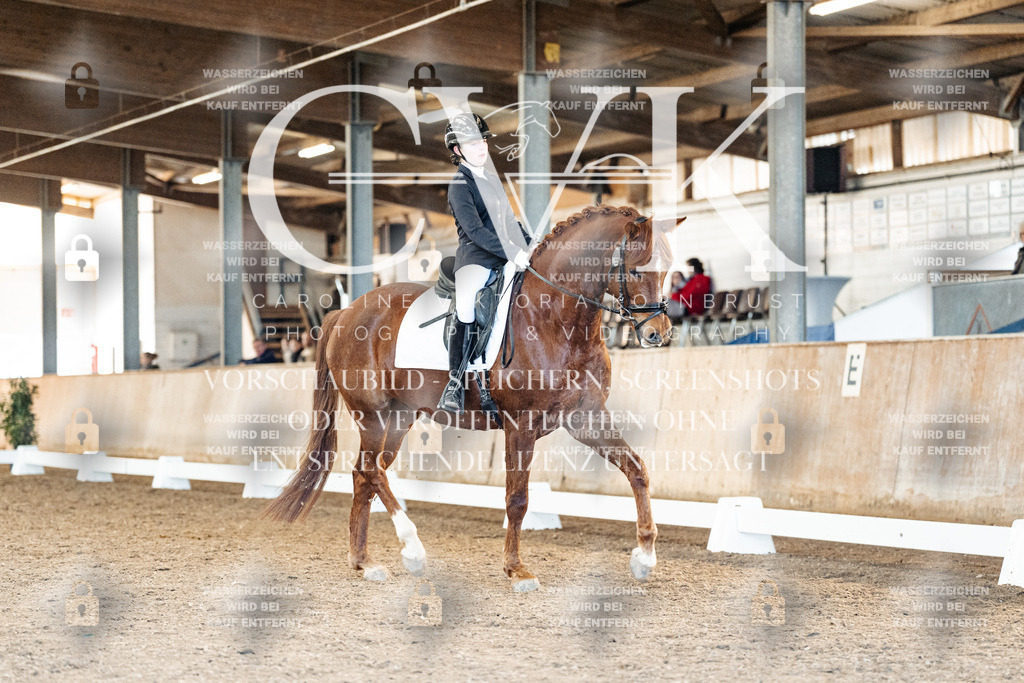 CK908349 | Turnierfotografie Pferdefotografie Trier Rheinland-Pfalz Pferdesport Reitsport Tierfotografie Sportfotografie Pferdevideo Pferdevideografie Equestrianvideography equestrianphotography  - Realisiert mit Pictrs.com