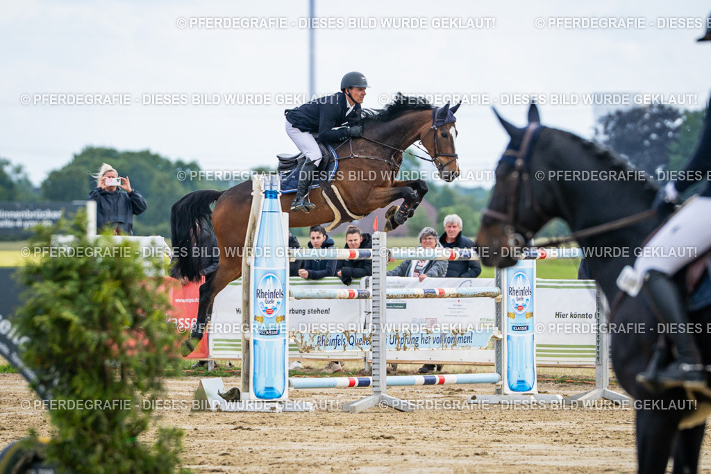 DSC06839 | Pferdegrafie