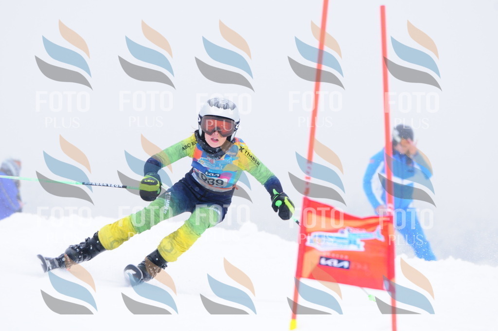 C3632 | holidayphoto