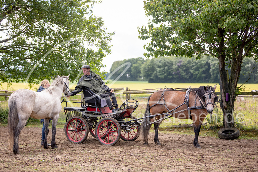 846A0580 | fotosleben - Realisiert mit Pictrs.com
