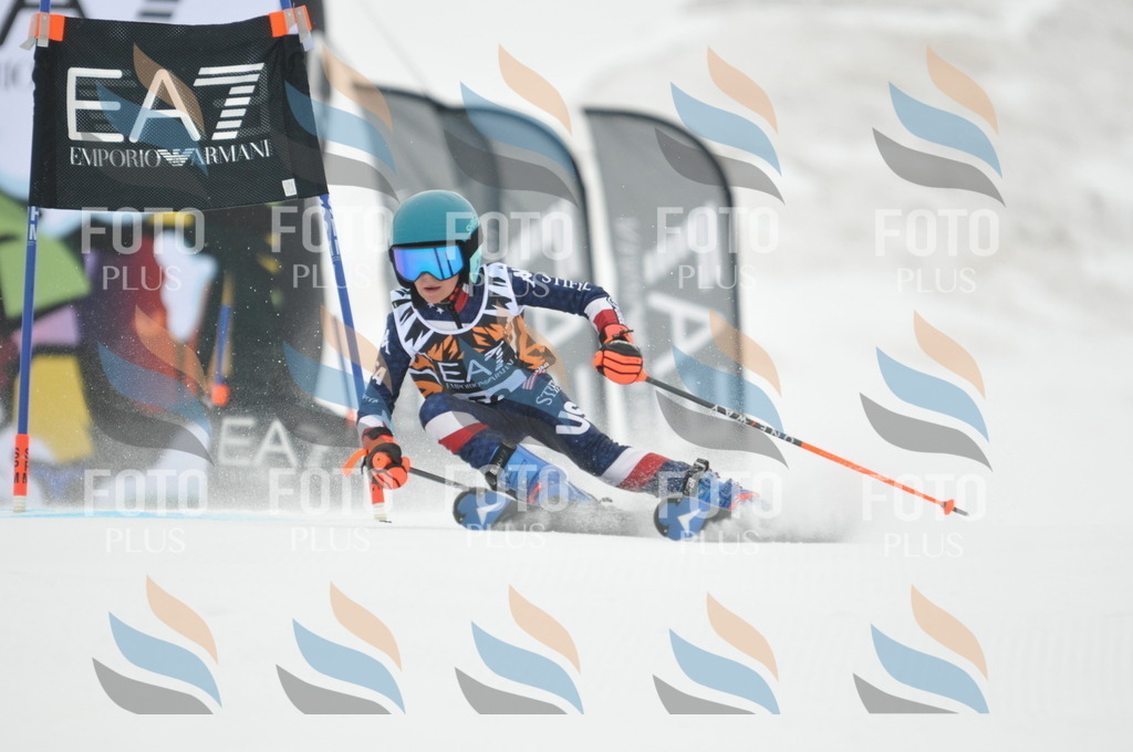 DSC_7767 | holidayphoto