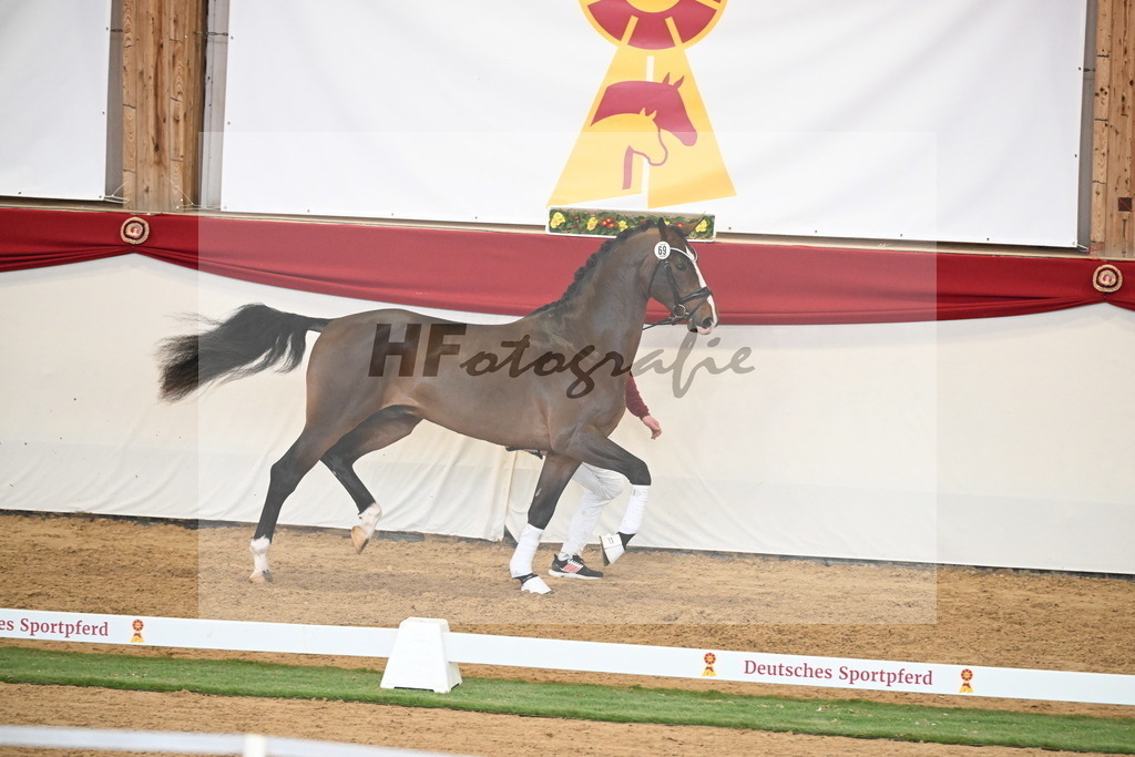 Kat.-Nr. 69 v. Glamourdale_Reichert_2250506 | hf-fotografie - Realisiert mit Pictrs.com