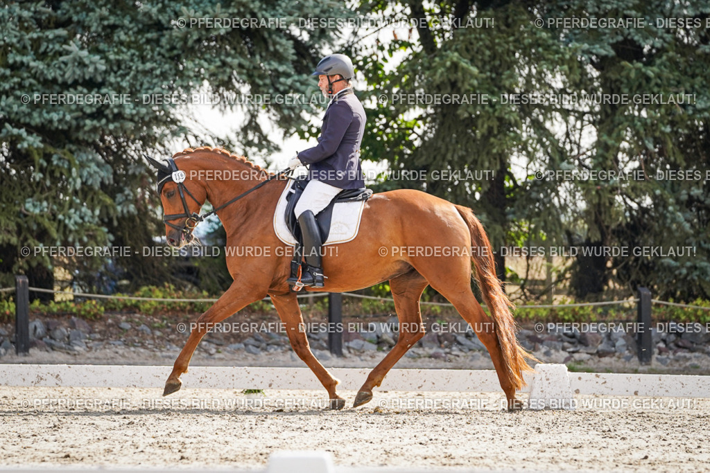 DSC06653 | Pferdegrafie