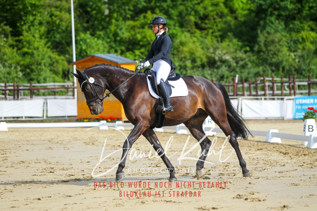 DKP45457 | Turniersportfotografie; Pferdefotografie; Dressurfotografie