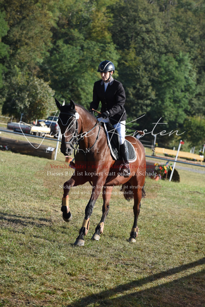 DSC_5222 | Pferde- und Turnierfotografie in Westsachsen. Pferdeportraits, Auftragszeichnungen und intuitive Kunst.