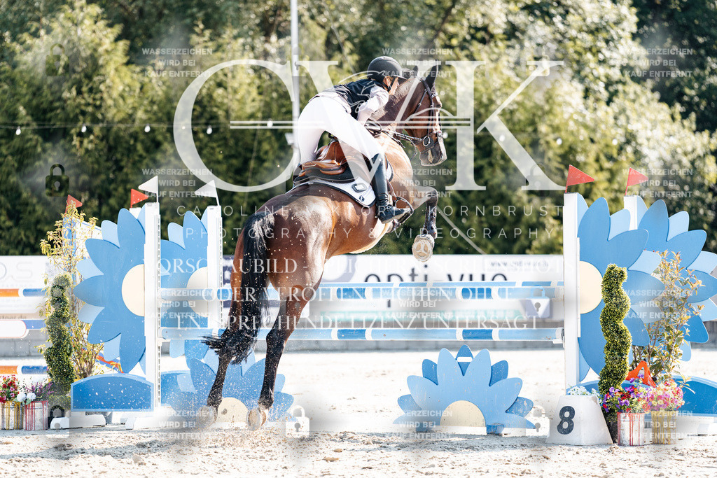 CK902235 | Turnierfotografie Pferdefotografie Trier Rheinland-Pfalz Pferdesport Reitsport Tierfotografie Sportfotografie Pferdevideo Pferdevideografie Equestrianvideography equestrianphotography  - Realisiert mit Pictrs.com