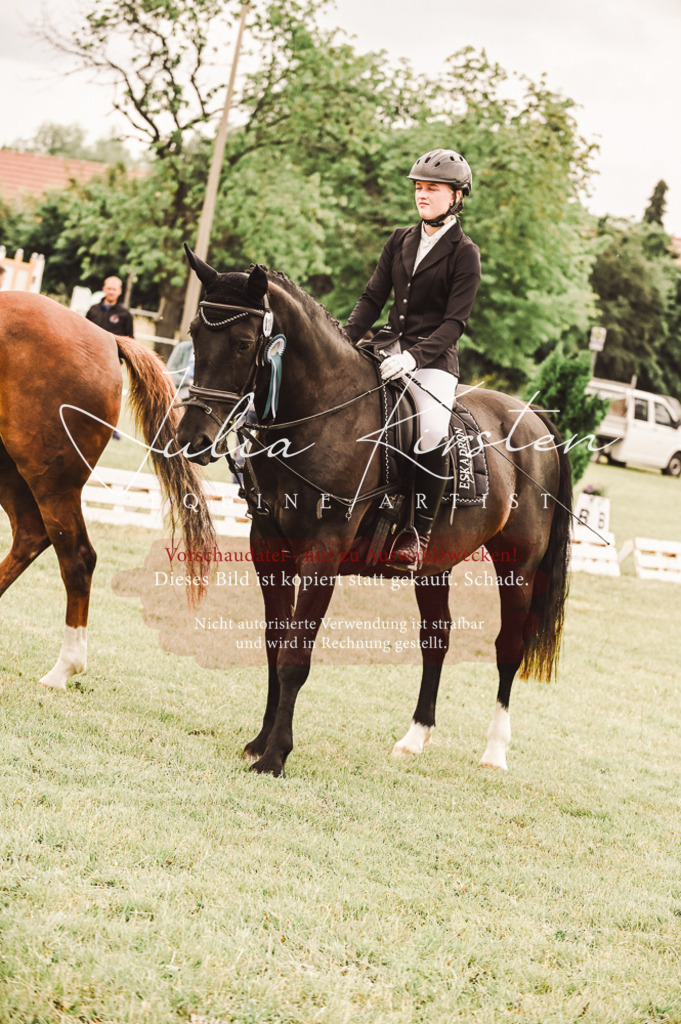 DSC_5164 | Pferde- und Turnierfotografie in Westsachsen. Pferdeportraits, Auftragszeichnungen und intuitive Kunst.