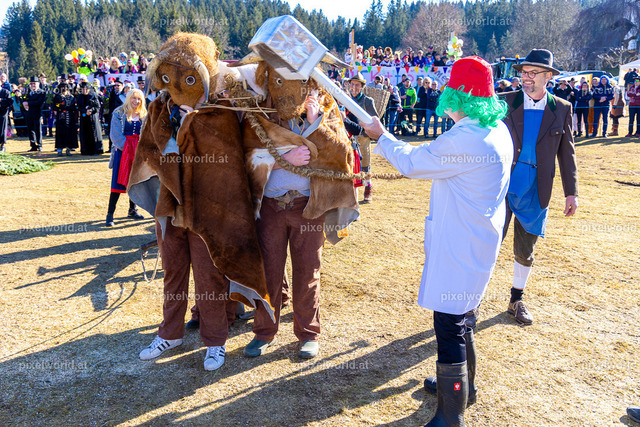 Bärentreiben in Steuerberg | Bildershop von pixelworld.at - Realisiert mit Pictrs.com