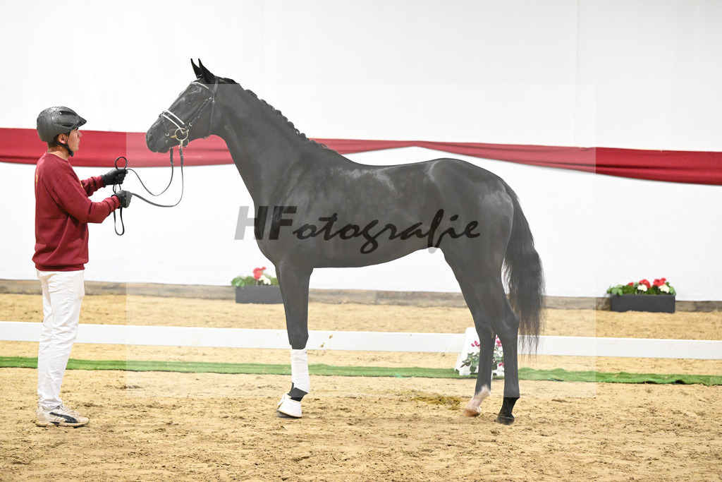 Kat-Nr. 58 v. Donier_Heilemann_63221767 | hf-fotografie - Realizzato con Pictrs.com