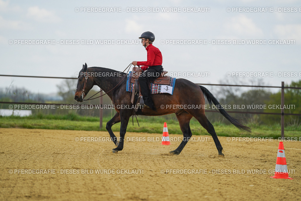 DSC05882 | Pferdegrafie