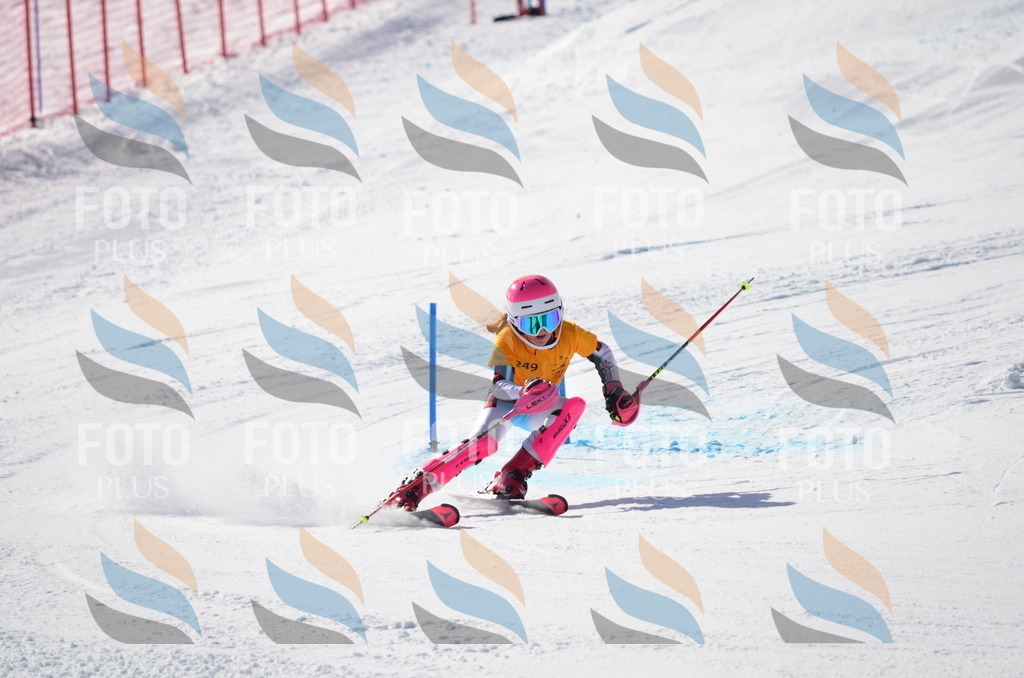 C8431 | holidayphoto