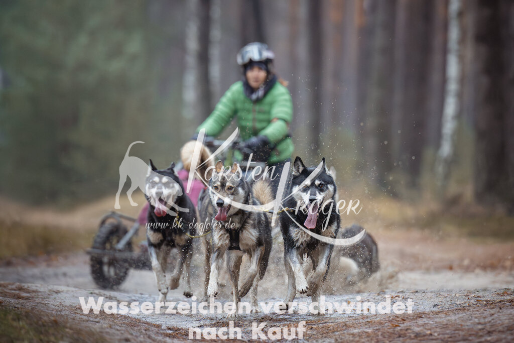 1041_ZZ99924 | kk-dogfotos