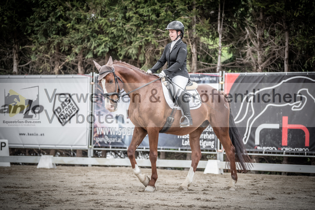 DSC_3041 | equestrian-live-com