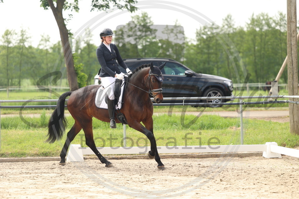 994A6313 | sabrinanicolaifotografie - Realisiert mit Pictrs.com