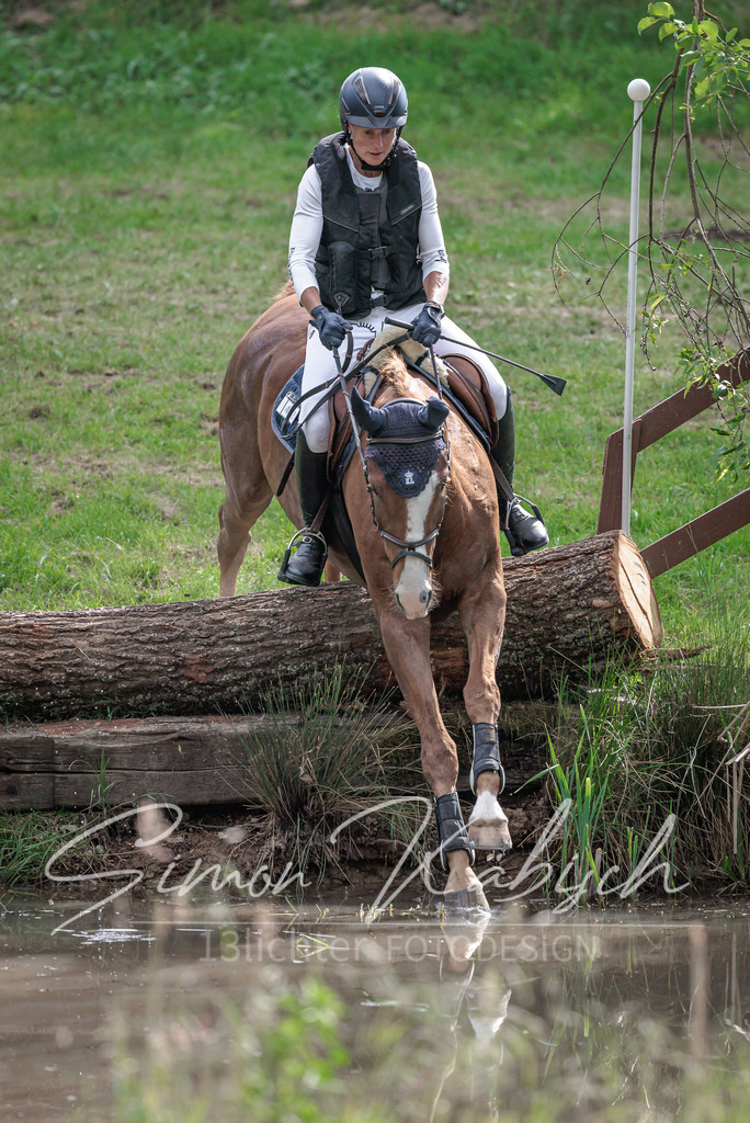 20260523-_3LI9781 | Tierfotografie Pferde, Hunde, Katzen, Haustiere.
Turnierfotografie Reitturniere, Reiten, Springreiten, Dressur in Hanau, dem Main-Kinzig-Kreis und dem Rhein-Main- Gebiet um Frankfurt