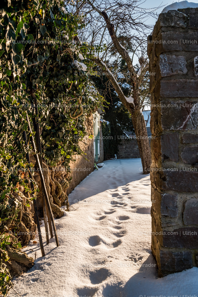 10049-4872 - Klostergärten Drübeck | Stockfoto und Bilderpool mit Bildmaterial aus Deutschland, dem Harz, Halberstadt, Quedlinburg, Wernigerode und weltweit. Qualitativ hochwertige und professionelle Fotos anschauen und kaufen. - Realisiert mit Pictrs.com