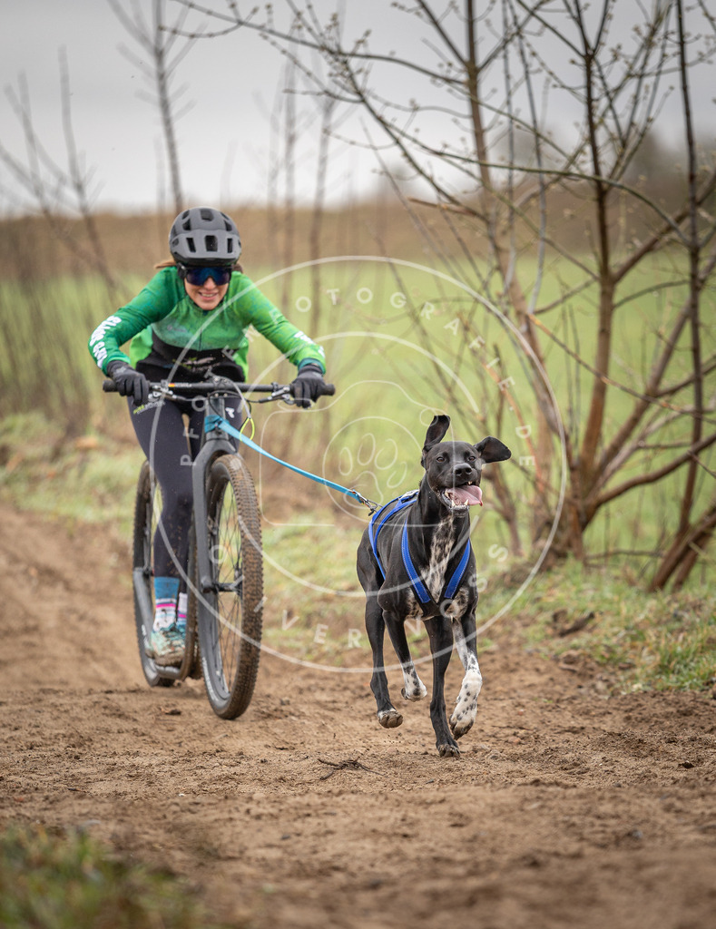 DV3A9174 | Hundefotografie, Tierfotograf, Pfotenfotografie, Fotoshooting Hund, Hunde Portrait, Hundesport, Hundeportraits, Heideshooting, Hunde, Sportfotograf, Hundefotograf, Turnierhundsport, THS,  - Realisiert mit Pictrs.com