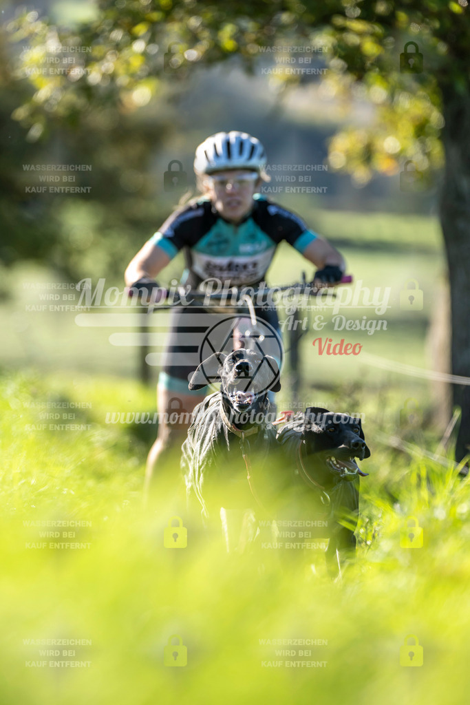 MompixPhotography_20TSB_E3_DS2-22 | PayLife