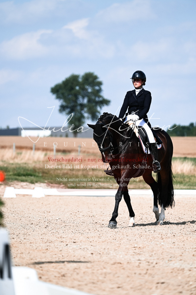 DSC_3360 | Pferde- und Turnierfotografie in Westsachsen. Pferdeportraits, Auftragszeichnungen und intuitive Kunst.