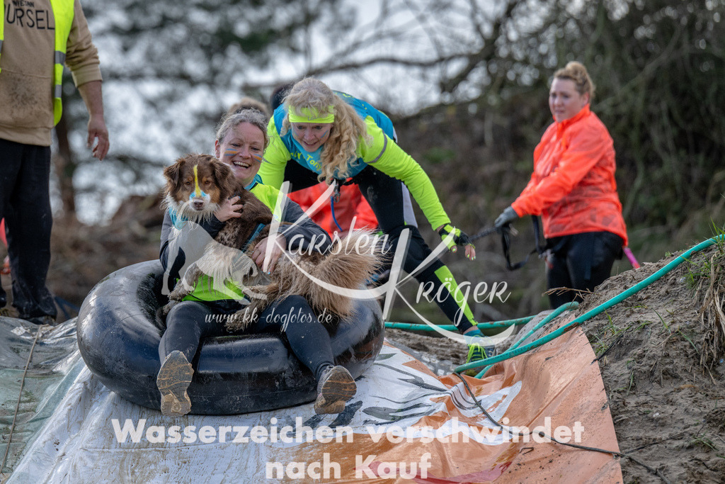 1613_ZZ94250 | kk-dogfotos