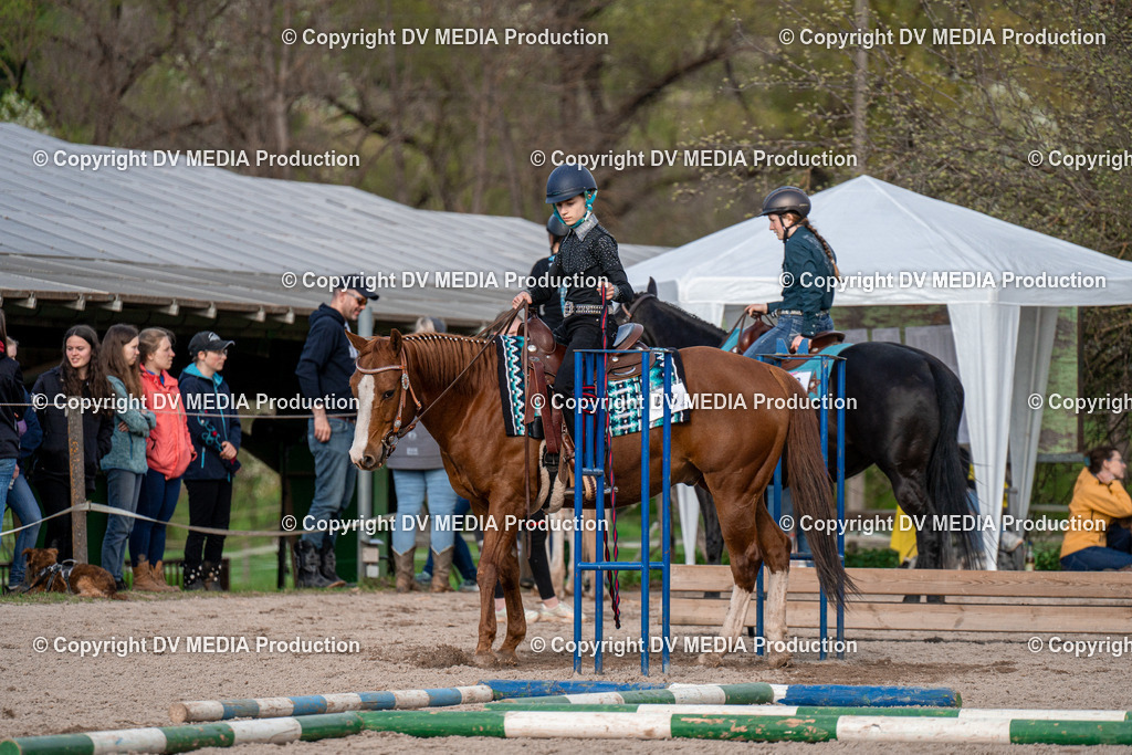 BAL02834 | dv-media-shop - Realisiert mit Pictrs.com