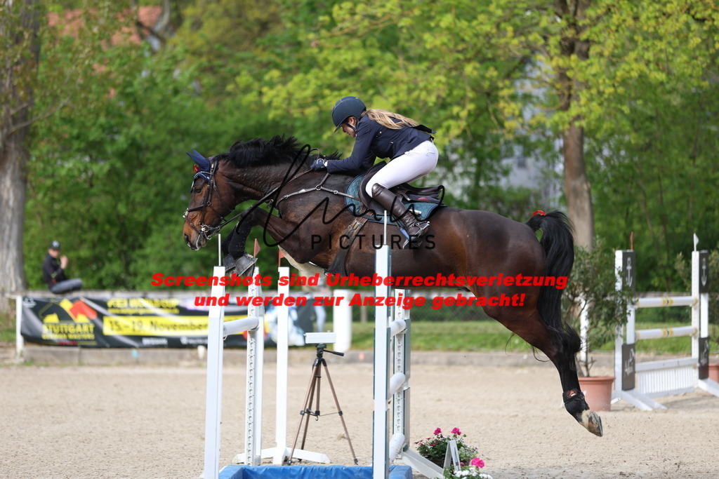 A40A2966 | lmwpictures - Realisiert mit Pictrs.com