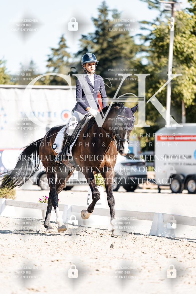 CK907491 | Turnierfotografie Pferdefotografie Trier Rheinland-Pfalz Pferdesport Reitsport Tierfotografie Sportfotografie Pferdevideo Pferdevideografie Equestrianvideography equestrianphotography  - Realisiert mit Pictrs.com