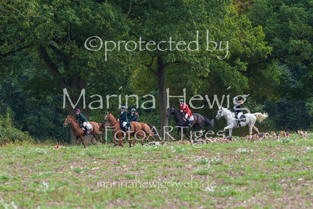 Jagd Perdoel 26 Sony-03599_MarinaHewig | Fotografie, FotoArt, PferdesportArt, Pferdesportfotografie, Landschaftsfotografie, Reisefotografie, Reise, Pferde - Realisiert mit Pictrs.com