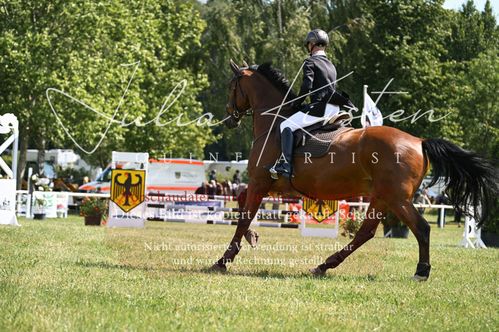 DSC_8936 | Pferde- und Turnierfotografie in Westsachsen. Pferdeportraits, Auftragszeichnungen und intuitive Kunst.