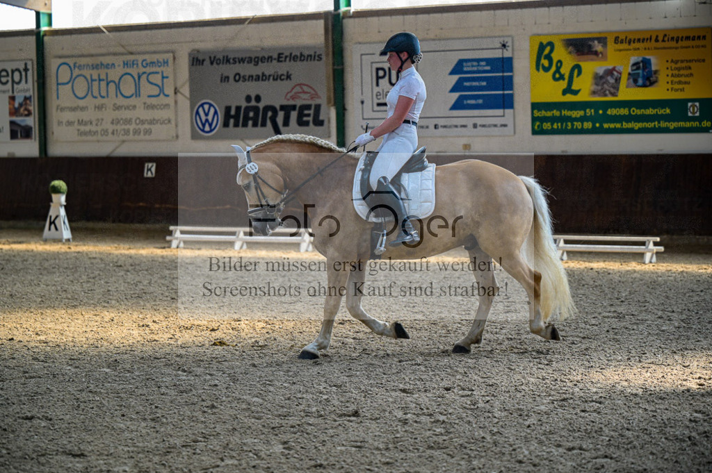 Reitturnier Voxtrup | Entdecke hochwertige Reitturnierfotos von Foto Oger. Professionell, emotional und authentisch – jetzt Lieblingsmomente im Shop bestellen.Deutschlandweite Turnierfotografie. - Realisiert mit Pictrs.com