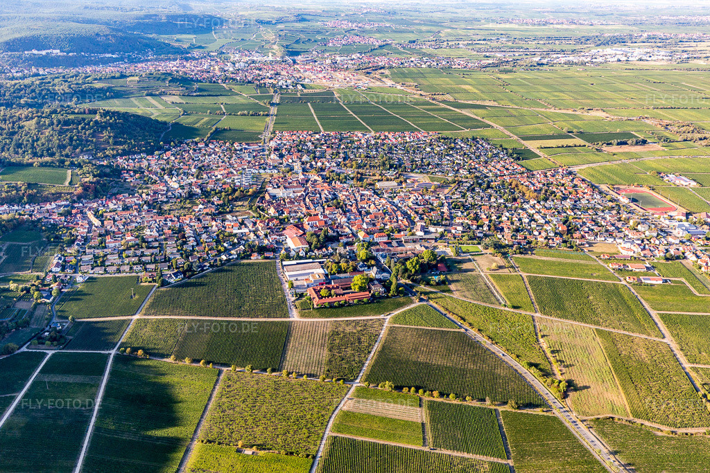 Luftbild: Ortsansicht am Rande von Weinbergen in Wachenheim an der Weinstraße im Bundesland Rheinland-Pfalz in Deutschland. Foto: IMG_111818.jpg vom 16.09.2018 durch Werner Riehm/FLY-FOTO.de