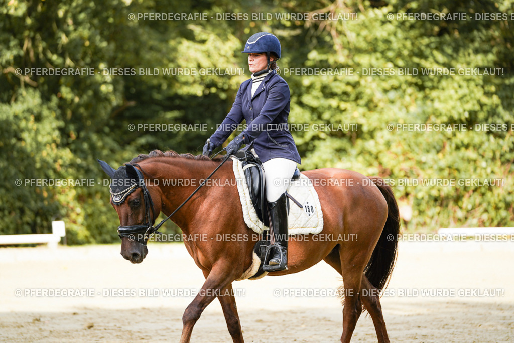 DSC02304 | Pferdegrafie