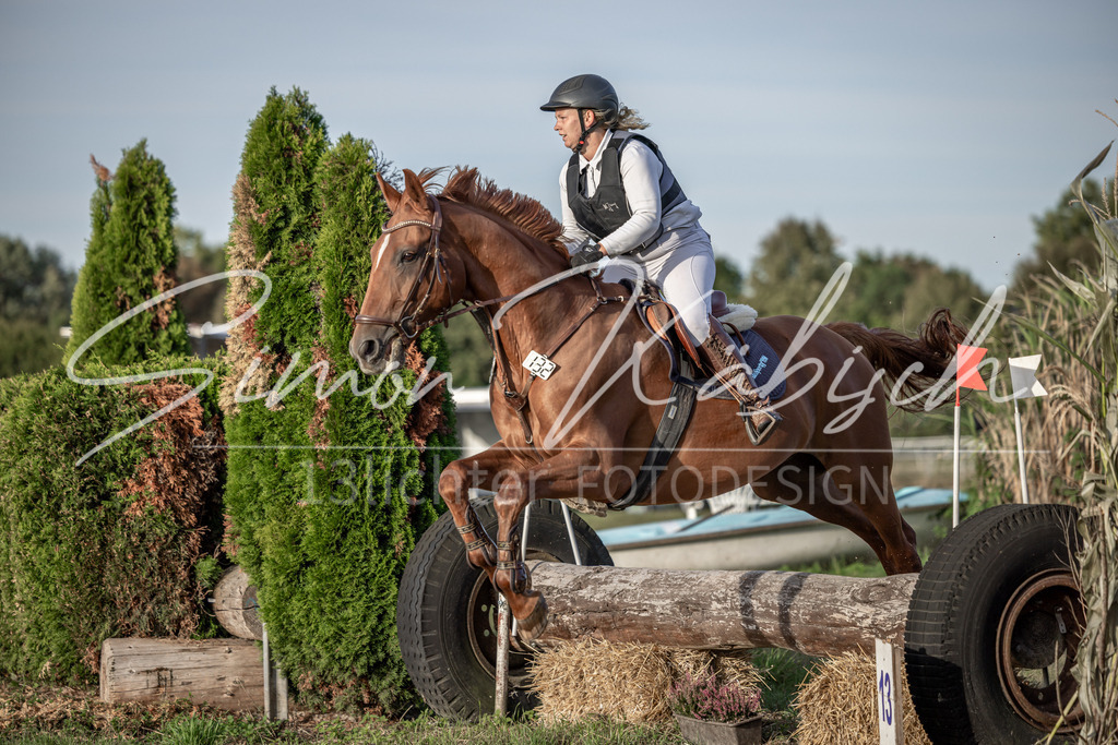 20250907-_3LI8335 | Tierfotografie Pferde, Hunde, Katzen, Haustiere.
Turnierfotografie Reitturniere, Reiten, Springreiten, Dressur in Hanau, dem Main-Kinzig-Kreis und dem Rhein-Main- Gebiet um Frankfurt
