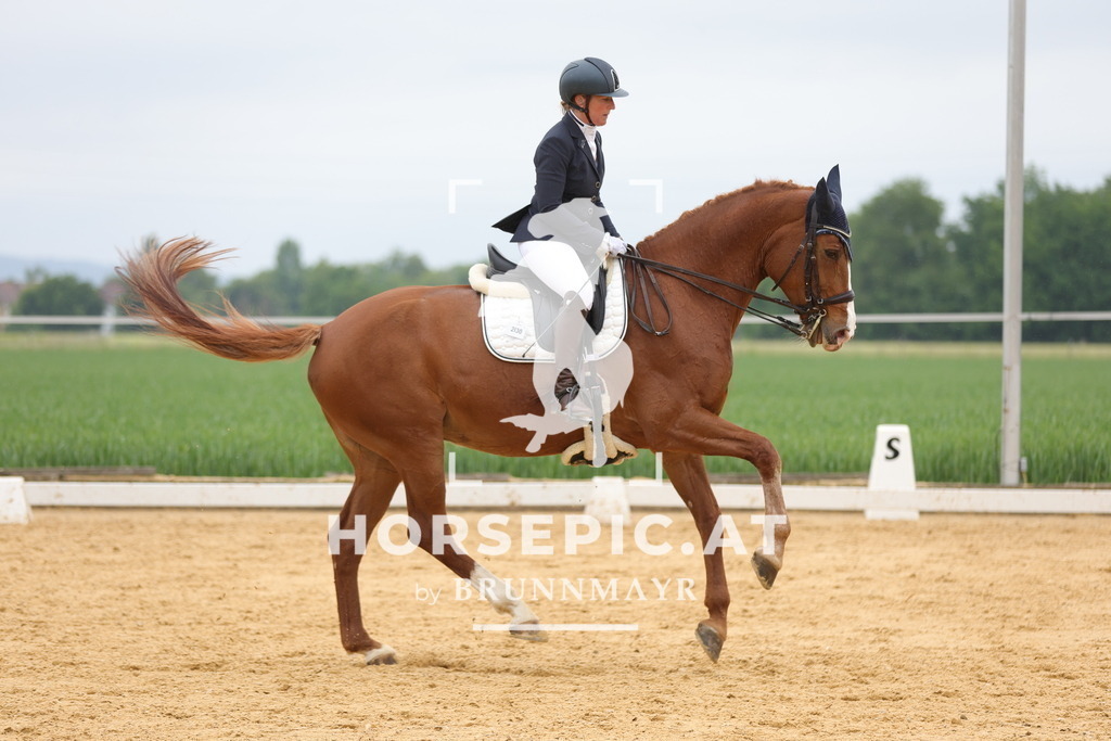 0P6A1082 | Willkommen bei Brunnmayr - Design & Fotografie – Ihrem Spezialisten für Reitturniere und Pferdeveranstaltungen in Oberösterreich, Salzburg und Bayern! Seit über 17 Jahren sind wir leidenschaftlich dabei.