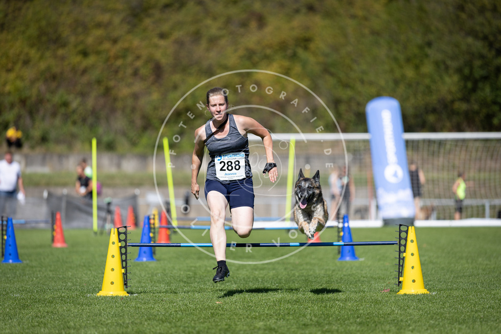 Pfotenfotografie_DV3A7325 | Hundefotografie, Tierfotograf, Pfotenfotografie, Fotoshooting Hund, Hunde Portrait, Hundesport, Hundeportraits, Heideshooting, Hunde, Sportfotograf, Hundefotograf, Turnierhundsport, THS,  - Realisiert mit Pictrs.com